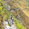 Lares Trek 5 Days Discover the Andes and Traditional Villages