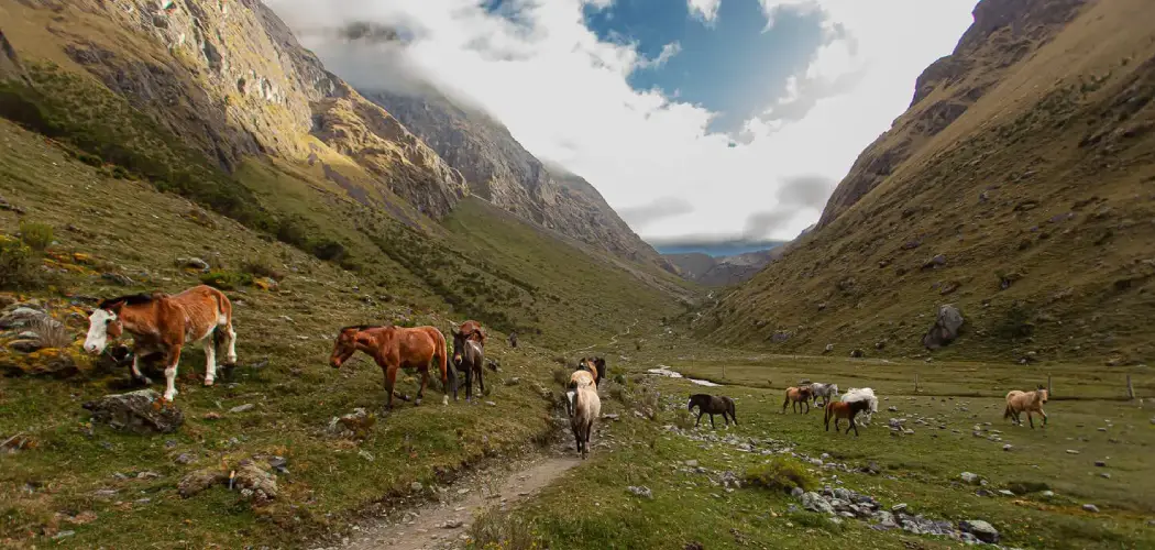 Salkantay Trail