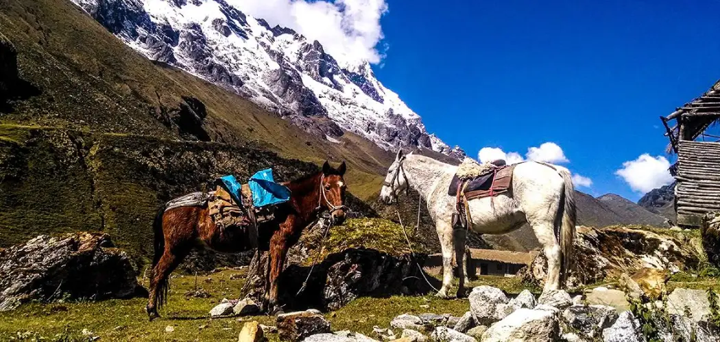 Salkantay Trail