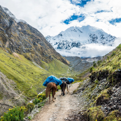 Salkantay Trek Camping: Ultimate Overnight Guide